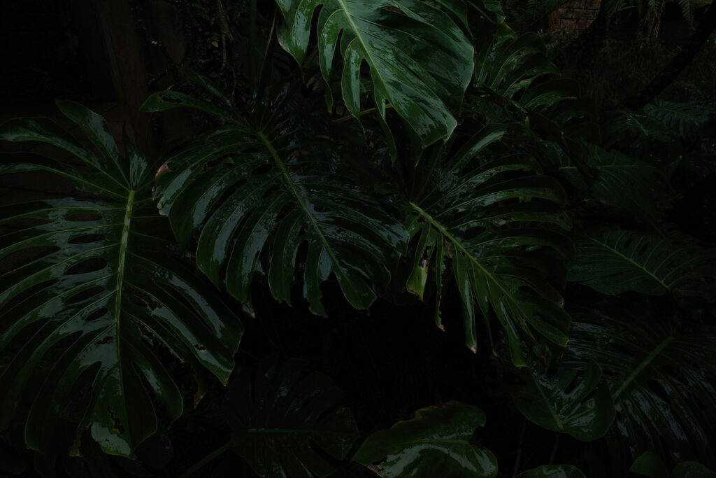 rewildurself 26 - ReWild UrSelf