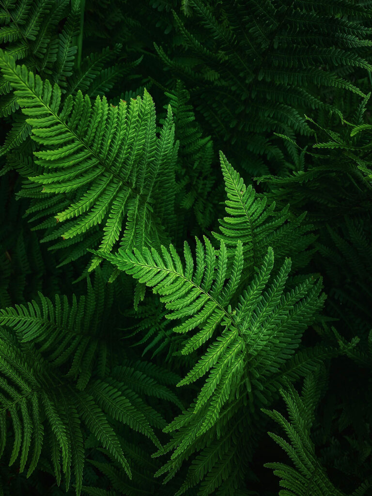 rewildurself 6 - ReWild UrSelf